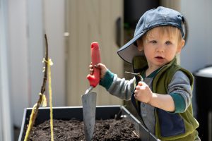 Young boy with a trowel in a raised garden bed